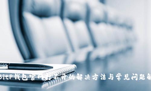: BitP钱包官网打不开的解决方法与常见问题解答