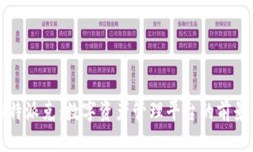 详解比特派克：数字资产管理平台的前景与挑战