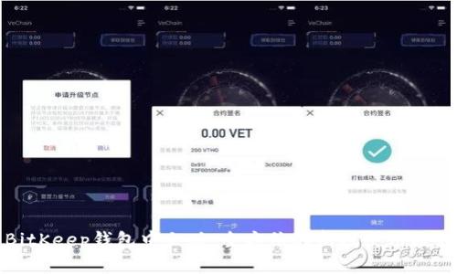 BitKeep钱包中文版：全方位解析及使用教程