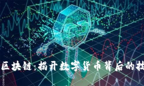 币圈与区块链：揭开数字货币背后的技术之谜