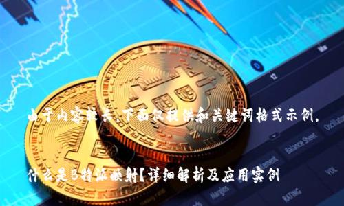 由于内容较长，下面仅提供和关键词格式示例。


什么是B特派映射？详细解析及应用实例