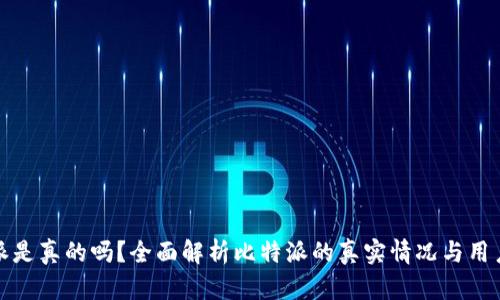 比特派是真的吗？全面解析比特派的真实情况与用户体验
