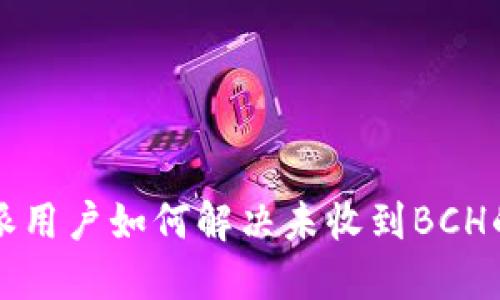 比特派用户如何解决未收到BCH的问题