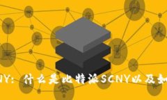比特派SCNY: 什么是比特派
