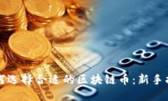 如何选择合适的区块链币