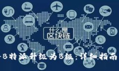 如何将B特派升级为B级：详