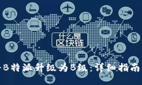 如何将B特派升级为B级：详细指南与技巧