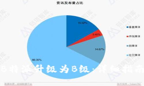 如何将B特派升级为B级：详细指南与技巧