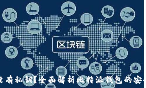   
比特派钱包是否没有私钥？全面解析比特派钱包的安全性和使用便捷性