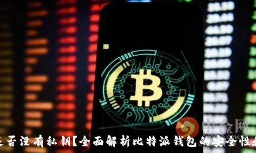  
比特派钱包是否没有私钥？全面解析比特派钱包的安全性和使用便捷性