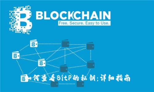 如何查看BitP的私钥：详细指南