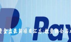 区块链资金盘最新项目汇
