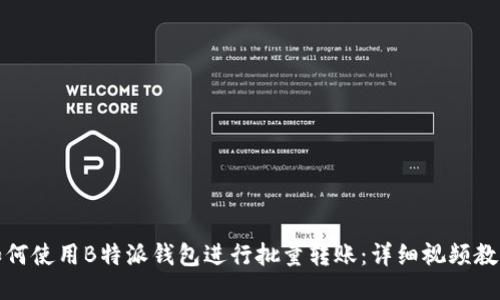 如何使用B特派钱包进行批量转账：详细视频教程