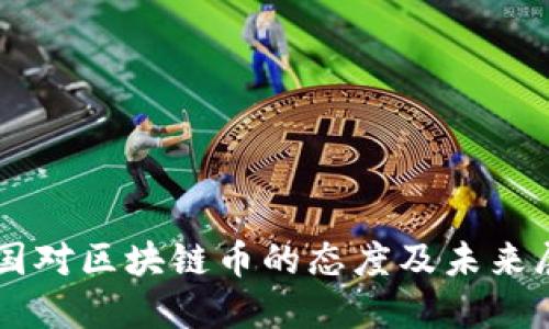 中国对区块链币的态度及未来展望