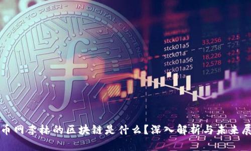 火币网李林的区块链是什么？深入解析与未来展望