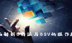 全面解析B特派与BSV的操作