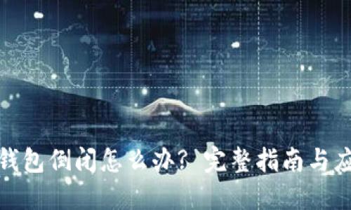 比特派钱包倒闭怎么办? 完整指南与应对措施