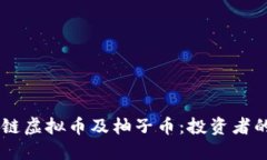 了解区块链虚拟币及柚子