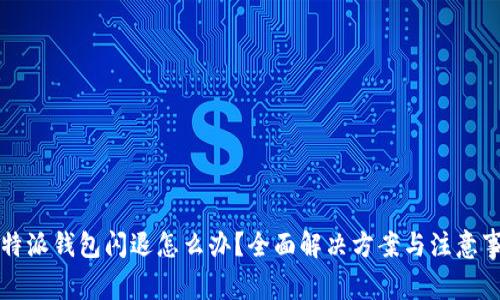 比特派钱包闪退怎么办？全面解决方案与注意事项