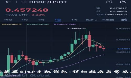 如何下载苹果BitP手机钱包：详细指南与常见问题解答