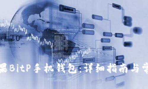 如何下载苹果BitP手机钱包：详细指南与常见问题解答