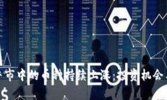 : 区块链牛市中的币种持续