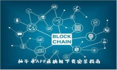 柚子币APP区块链下载安装