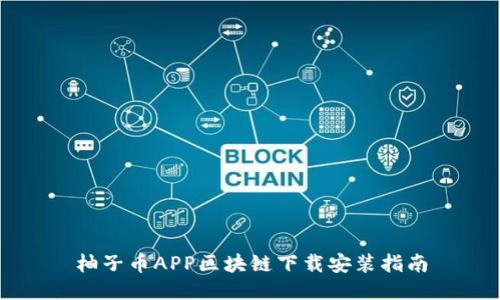 柚子币APP区块链下载安装指南