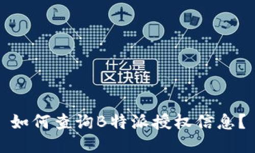 如何查询B特派授权信息？