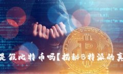  b特派是假比特币吗？揭秘