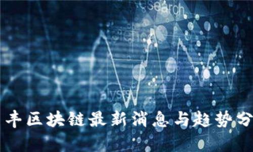 李丰区块链最新消息与趋势分析
