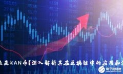 什么是KAN币？深入解析其