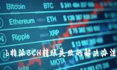  b特派BCH转账失败的解决办