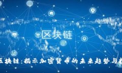 竞争币区块链：揭示加密