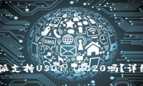 biasoti比特派支持USDT TRC20吗？详细解析与指导