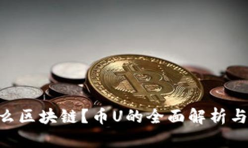 币U是什么区块链？币U的全面解析与应用场景