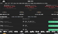 :从哪里获取比特币区块链