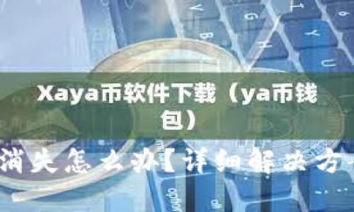 :比特派金额消失怎么办？详细解决方案与应对指南