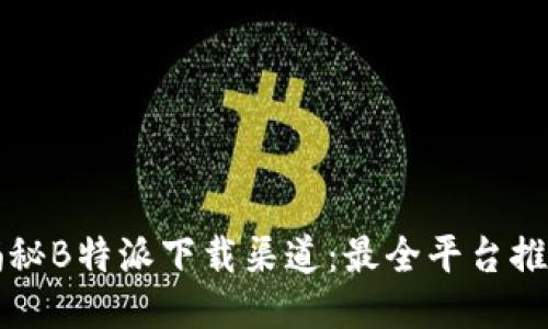 揭秘B特派下载渠道：最全平台推荐