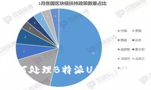 如何处理B特派U被盗事件？