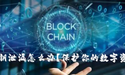 比特派钱包密钥泄漏怎么办？保护你的数字资产的正确步骤