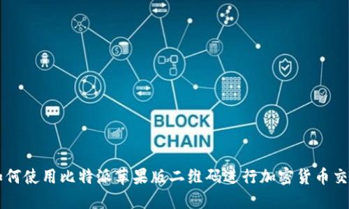 如何使用比特派苹果版二维码进行加密货币交易