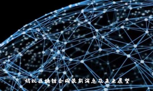 蚂蚁区块链合同最新消息及未来展望