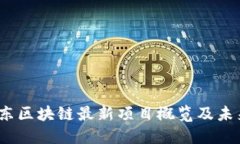 2023年广东区块链最新项目