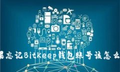 如果忘记BitKeep钱包账号该