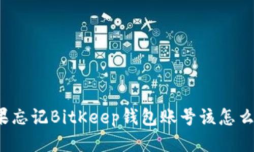 如果忘记BitKeep钱包账号该怎么办？