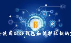 如何安全使用BitP钱包和保