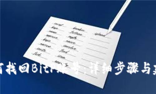 如何找回BitP账号：详细步骤与建议