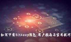 如何下载BitKeep钱包：用户