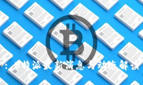 : B特派最新消息与动态解读